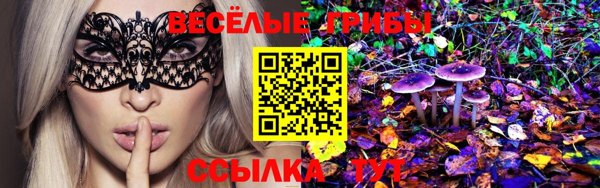 Галлюциногенные грибы мицелий  Вход с VPN  Псилоцибиновые грибы ЛСД  Рузаевка 