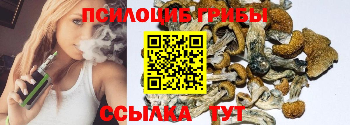 Псилоцибиновые грибы Cubensis Рузаевка